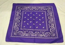 Paisley Purple Bandanna Face