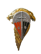 BREVET DES COMMANDOS DU CNEC LE GIS (VARIANTE EN Y. DELSART)