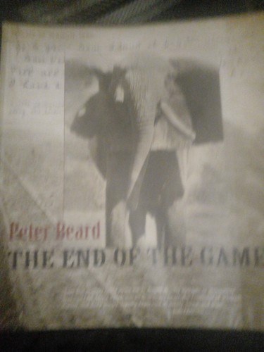 Peter beard the - beard,