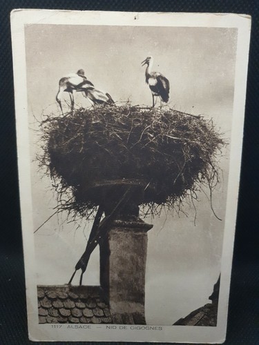 Carte postale ancienne - , alsace-