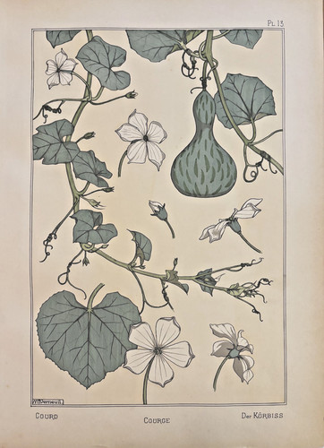 Eugène grasset courge - eugène,