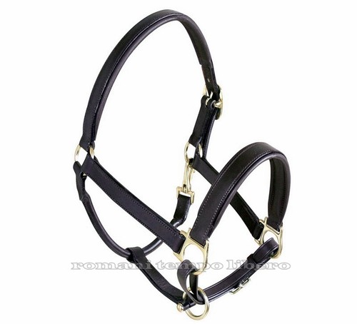 Couvre nuque pour cheval - couvre-nuque,