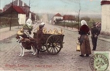 CPA -BELGIQUE-   Attelage de chiens - Laitières - Colère et dépitl.