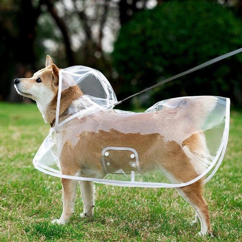 Imperméable pour chien