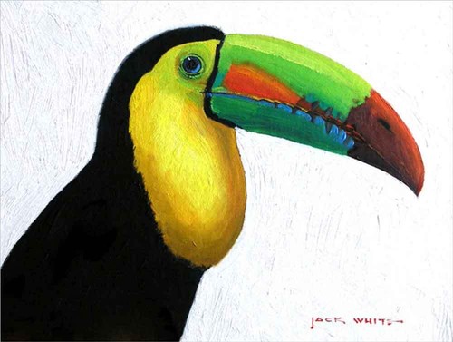 Toucan bird accent decor - bird,