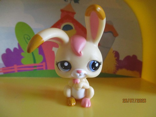 Petshop lapin garenne - ,