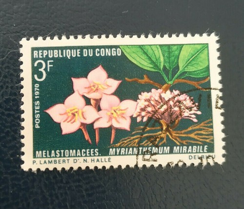 Congo 1970 flora and - "flora,