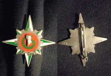 INSIGNE MILITAIRE – 6°