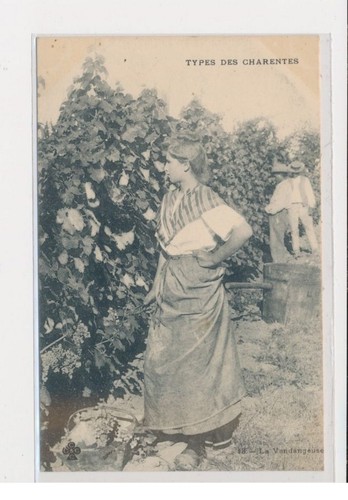 Types des charentes - types,