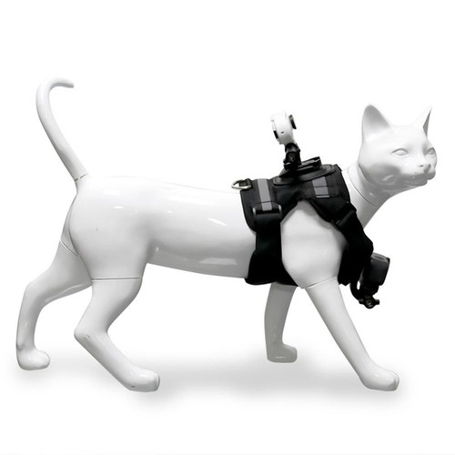 Gilet harnais chat ergonomique - chat,