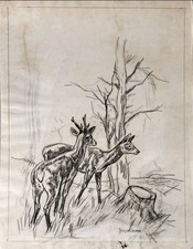 Jacques NAM Dessin Etude de