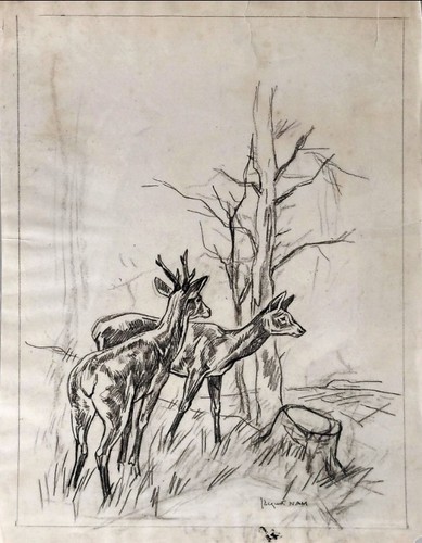 Jacques nam dessin etude - dessin, de