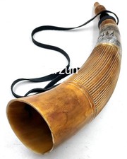 Véritable corne de taureau