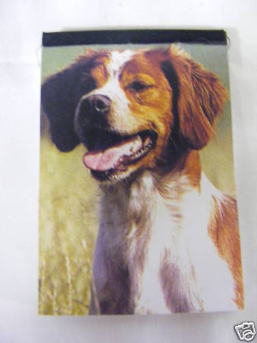 Carnet aimanté feuilles - carnet,