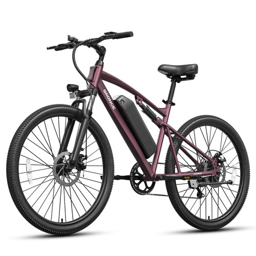 1000w electric bike for - 1000w,