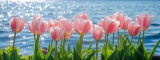 5D DIY Grand Diamond Painting