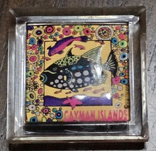 2×2 Caymen Islands Aquarium