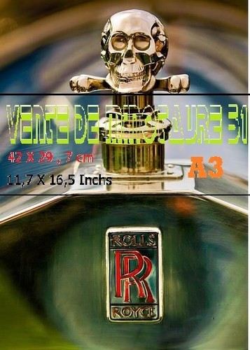 Mascotte auto rolls - auto,