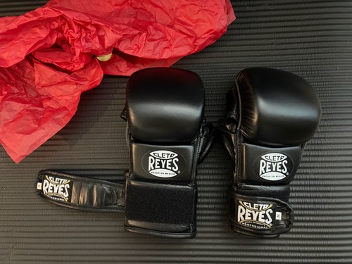 Cleto reyes mma training - mma,