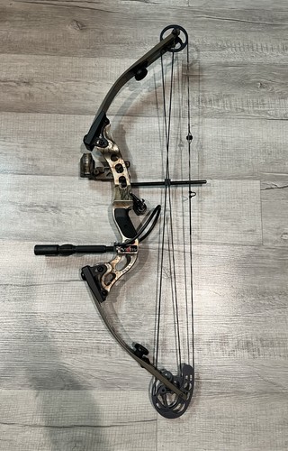Hoyt viper compound - hoyt,
