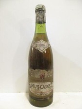  muscadet domaine de la blanchetière (capsule très abîmée b2) blanc 1975 - loire
