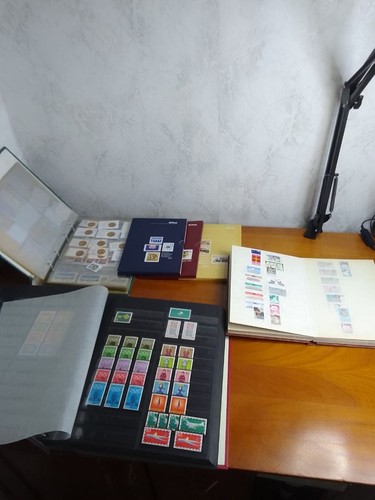 Remise carton 17kg - remise,
