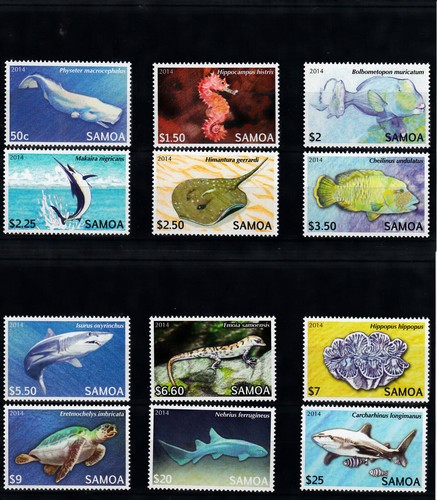 Samoa faune locale 2014 - locale,