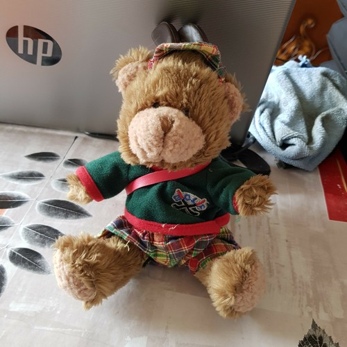 Ours golfeur the - ours, teddy