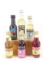 4cl lot de 6 mignonettes divers producteurs années 70 - alcools