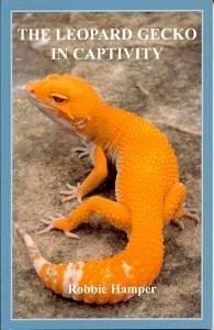 The leopard gecko - the, in