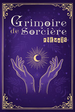 Grimoire Sorciere Rituels Journal  Sorcellerie Conseils Techniques Livre Ombres