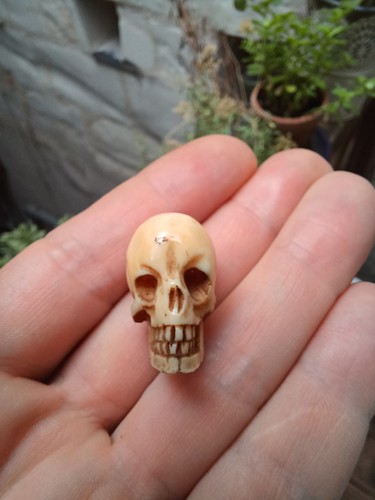Crâne memento mori xviii - mori,