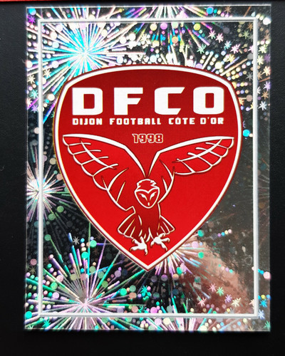 Dfco dijon football cote - dfco,