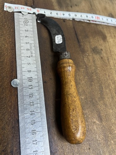 Rainette marquage forestier - marquage,