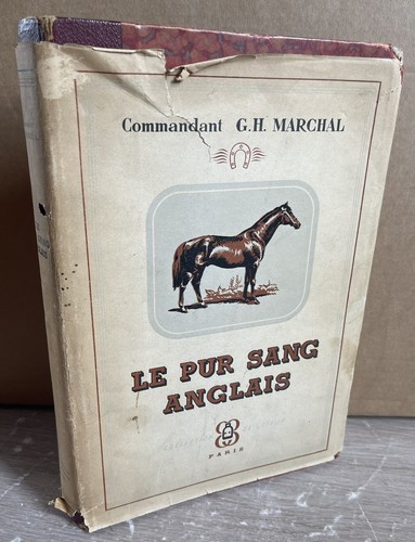 Pur sang anglais - pur,