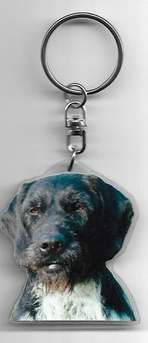 Drathaar porte clés chien - chien, /