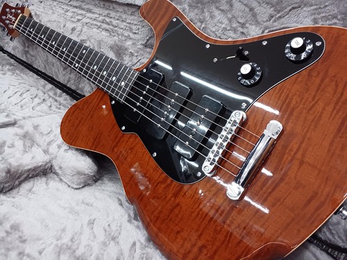 Guitare électrique dragonfly - électrique,
