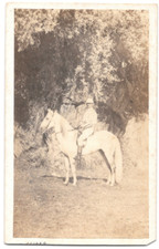 Reverony 1er Chasseur Afrique Tenue Jockey Cheval Extérieur Photo CDV Militaire