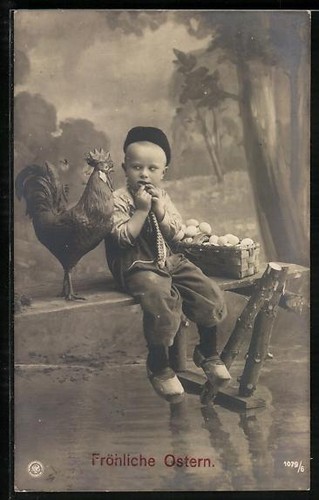 Carte postale photo npg - npg, n°