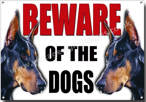 Doberman beware the - of, chien