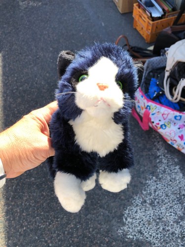 Doudou peluche gipsy chat - doudou,