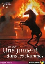 Cheval fantome t.3 une jument dans les flammes - Farley Terri