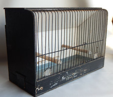 Ancienne cage à oiseaux en bois " transport d'appelant "- Chasse Longueur 37 cm