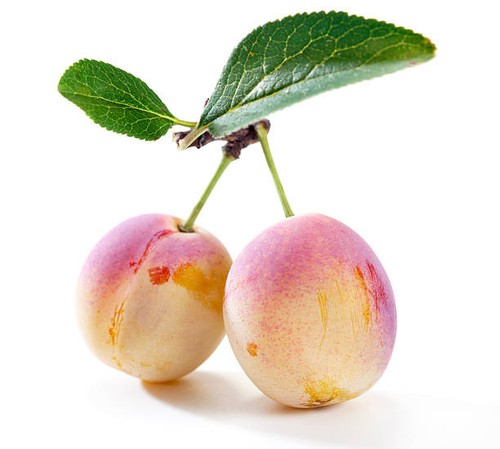 Eau vie mirabelle 5 x - de,