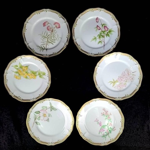 Noritake gala contessa - ∞∞noritake,