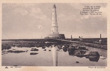 🦬Carte Postale / POST CARD