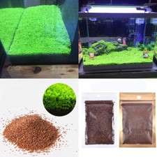 5G Aquarium Herbe Plante