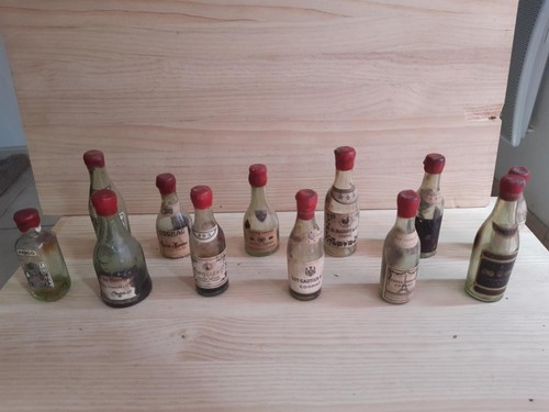 Rare mignonnettes très - 12,