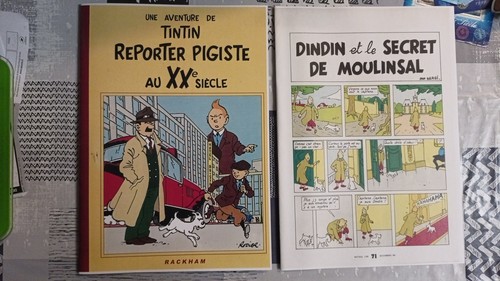 Tintin pastiche - pastiche,