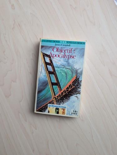 Livre dont vous etes héros - dont,